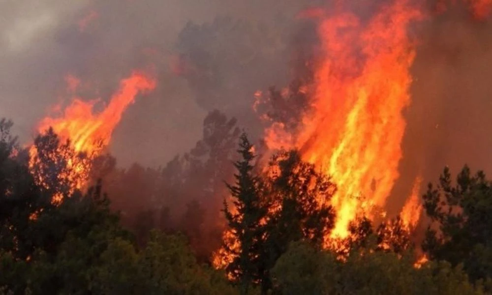 Πυροσβεστική: 40 πυρκαγιές το τελευταίο 24ωρο σε όλη τη χώρα